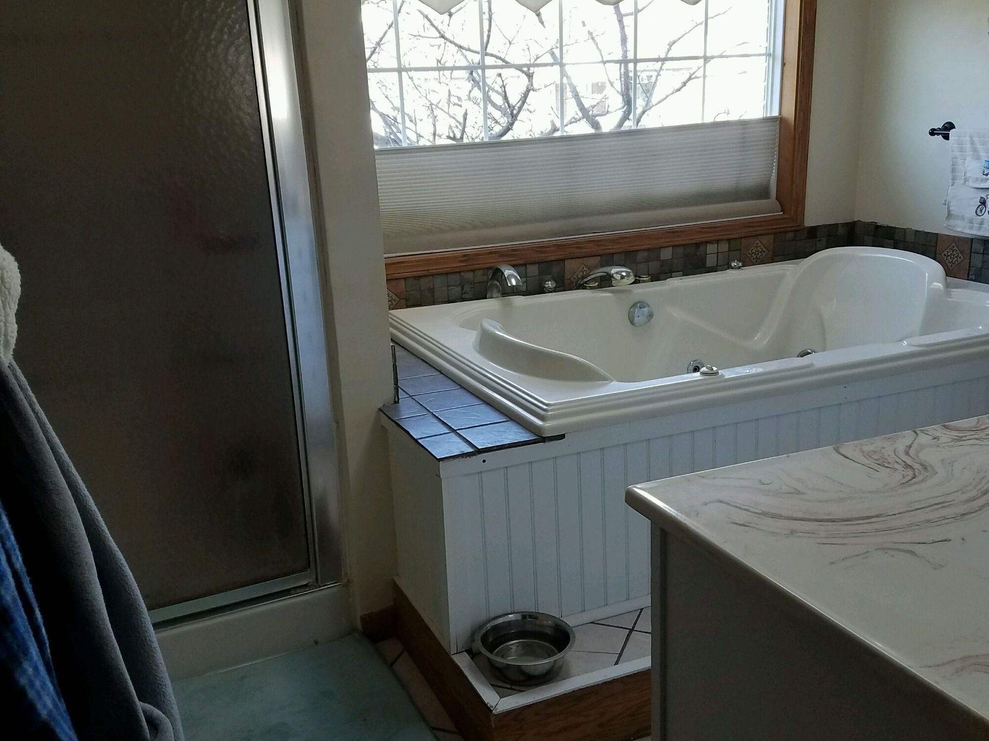 Old jetted tub and shower before bathroom remodel.